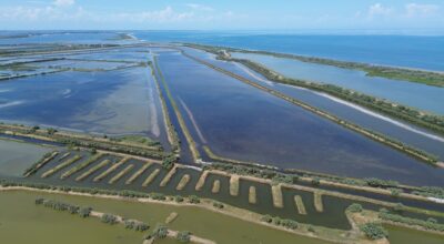 ENTRA NEL VIVO IL PROGETTO DI VIVIFICAZIONE DELLE LAGUNE DEL DELTA DEL PO