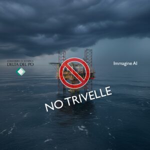 No trivelle