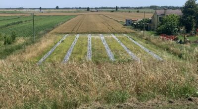 DALLA COLLABORAZIONE TRA CONSORZIO DI BONIFICA E 23 AZIENDE AGRICOLE DEL TERRITORIO NASCE UNA NUOVA INFRASTRUTTURA VERDE DI 50 KM