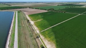 Campagna bruciata dal sale (immagine di reportorio)